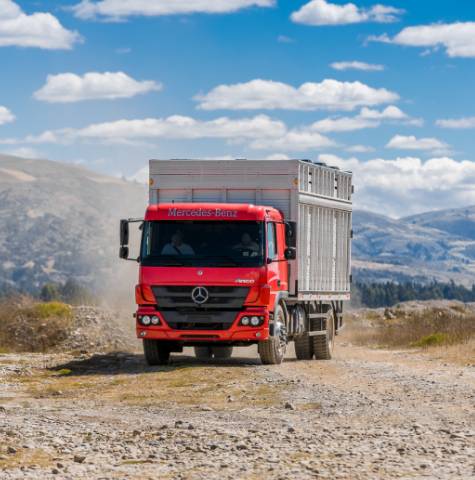 Versatilidad-New Atego 1419-DIVEMOTOR