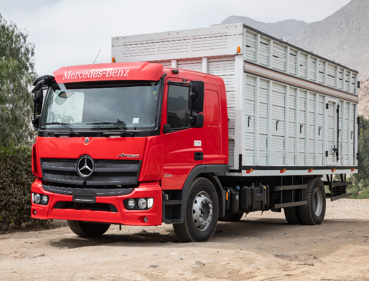 Aplicaciones Frecuentes New Atego 1419 - DIVEMOTOR