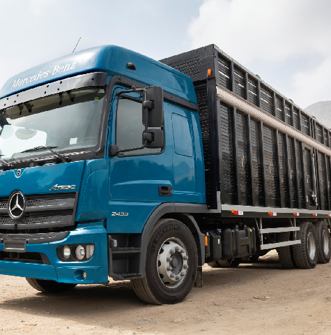 Mantenimiento Prolongado-New Atego 2433-DIVEMOTOR