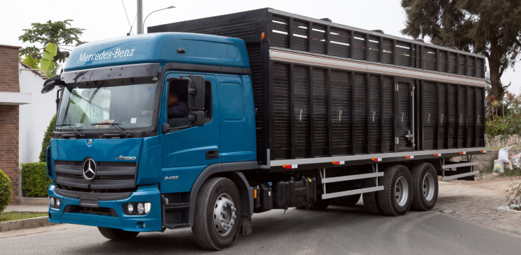 Pesos del New Atego 2430 New Atego 2433 - DIVEMOTOR