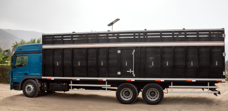 Aplicaciones Frecuentes New Atego 2433 - DIVEMOTOR